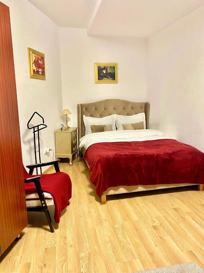 Studio Panoramic With Balcony And Parcul Unirii View Alba Iulia Exterior foto