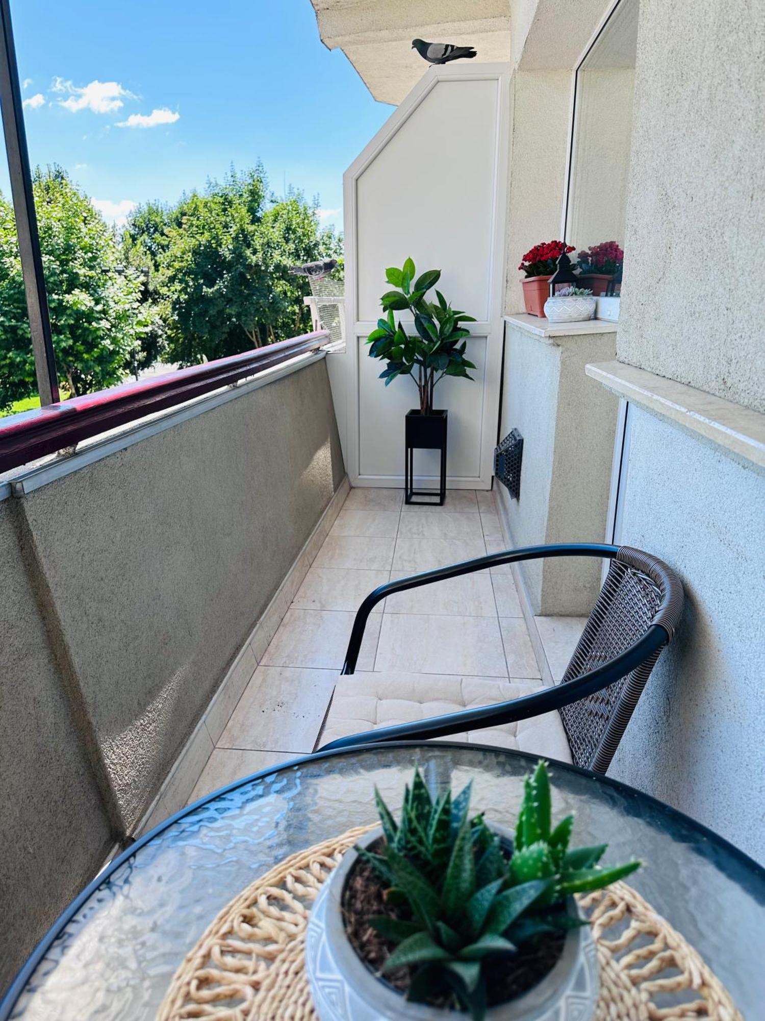 Studio Panoramic With Balcony And Parcul Unirii View Alba Iulia Exterior foto